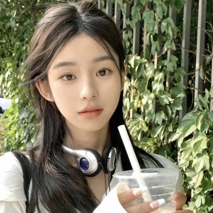 全面搜寻圣诞狗狗